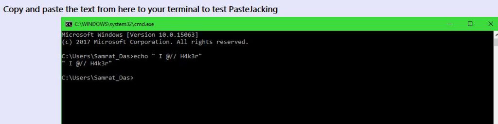 Output on console of pastejacking