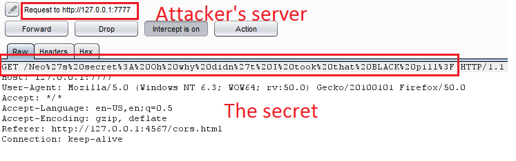 CORS Attackers server