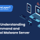 Command and Control Malware Server