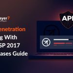 API Penetration Testing with OWASP 2017 Test Cases