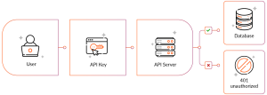 API Authentication Methods: OAuth, JWT, API Keys, and mTLS