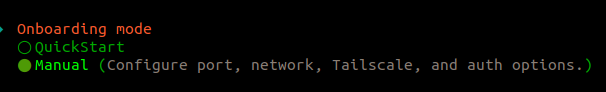 Choose Manual mode to configure port, network, Tailscale, and auth 