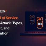 Denial of Service (DoS) Attack: Types, Impact, and Prevention