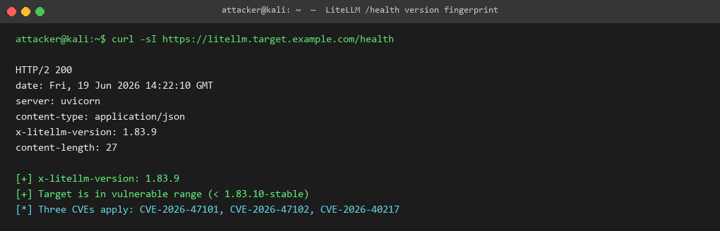 Version fingerprint via x-litellm-version header