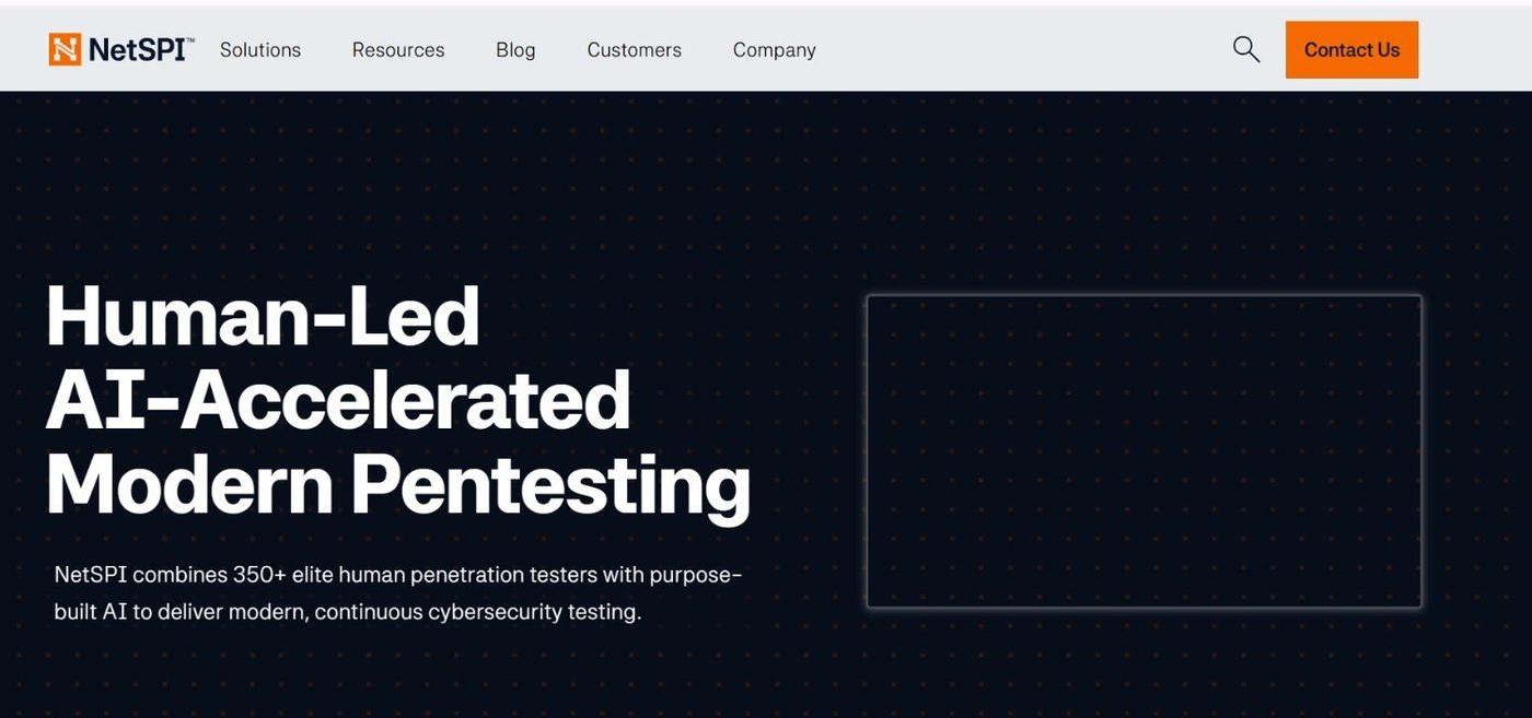 netspi screenshot 